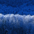 zima